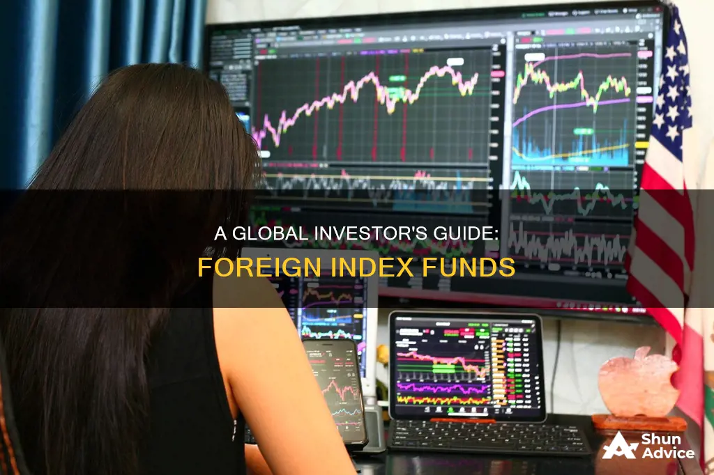 how to invest in foreign index funds