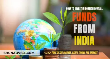 A Guide to Investing in Foreign Mutual Funds from India