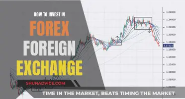 Unlocking Forex Profits: A Beginner's Guide to Foreign Exchange Trading