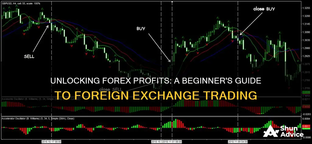 how to invest in forex foreign exchange