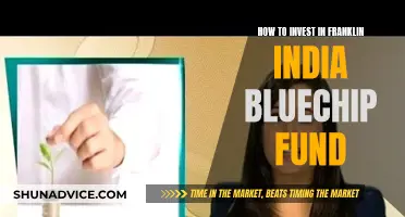 A Guide to Investing in Franklin India Bluechip Fund