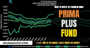 Invest Wisely: Franklin India Prima Plus Fund Guide