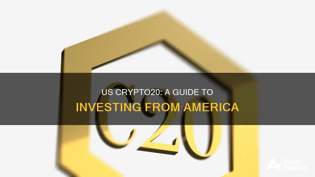 how to invest in from the us crypto20