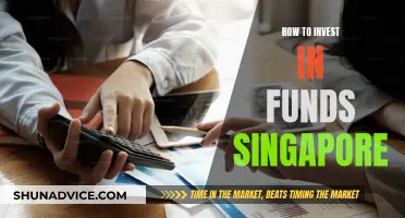 A Guide to Investing in Singapore's Funds