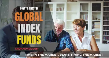 Global Index Funds: A Beginner's Guide to Investing