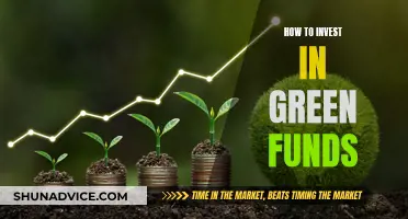 Green Funds: Where to Invest and How to Start