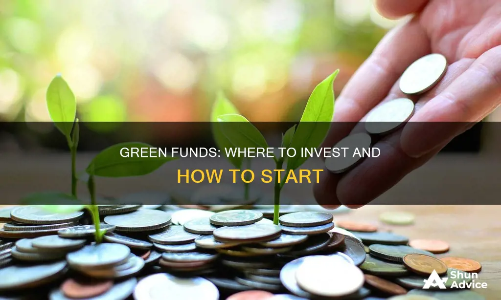 how to invest in green funds