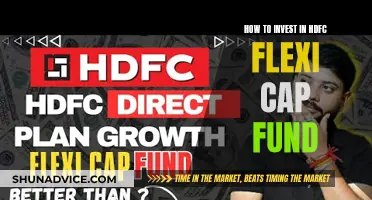 A Guide to Investing in HDFC Flexi Cap Fund