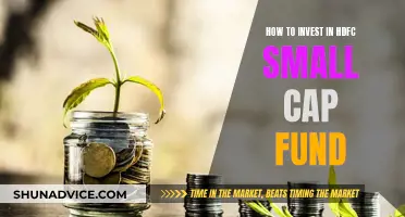 A Guide to Investing in HDFC Small Cap Fund