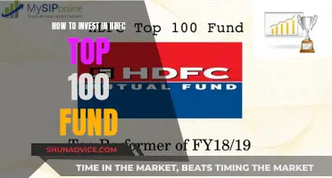 Invest Wisely: HDFC Top 100 Fund Guide