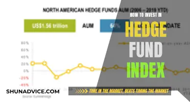 Strategies for Investing in Hedge Fund Indexes