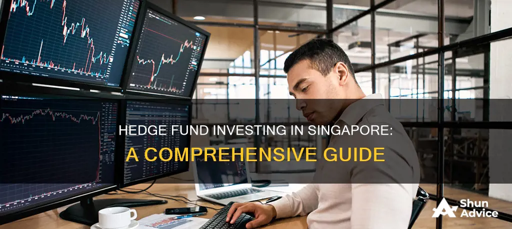 how to invest in hedge funds singapore