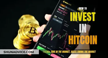 A Beginner's Guide to Investing in Hitcoin