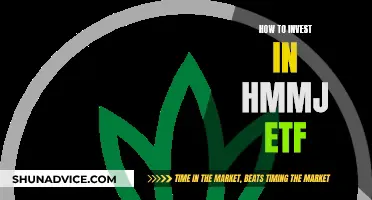 A Guide to Investing in the HMMJ ETF