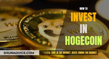 Hogecoin Investment: A Beginner's Guide to Getting Started