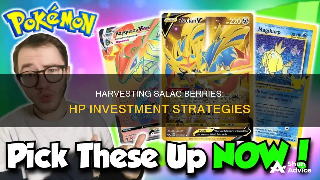 how to invest in hp for salac berry use