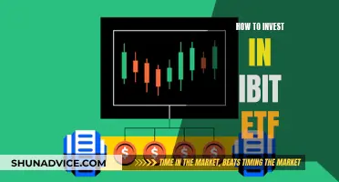 A Beginner's Guide to Investing in IBIT ETFs