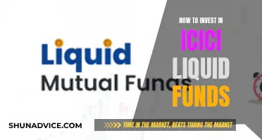 A Guide to Investing in ICICI Liquid Funds