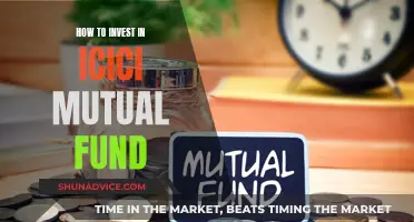 A Guide to Investing in ICICI Mutual Funds