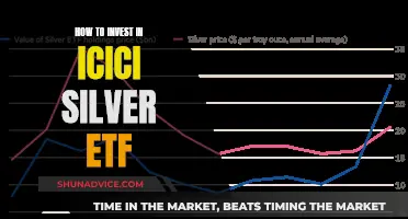 A Beginner's Guide to Investing in ICICI Silver ETF