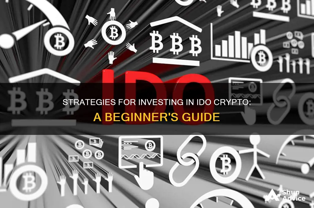 how to invest in ido crypto