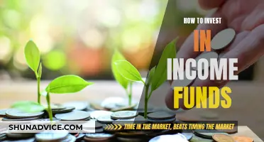 Income Funds: A Guide to Smart Investing