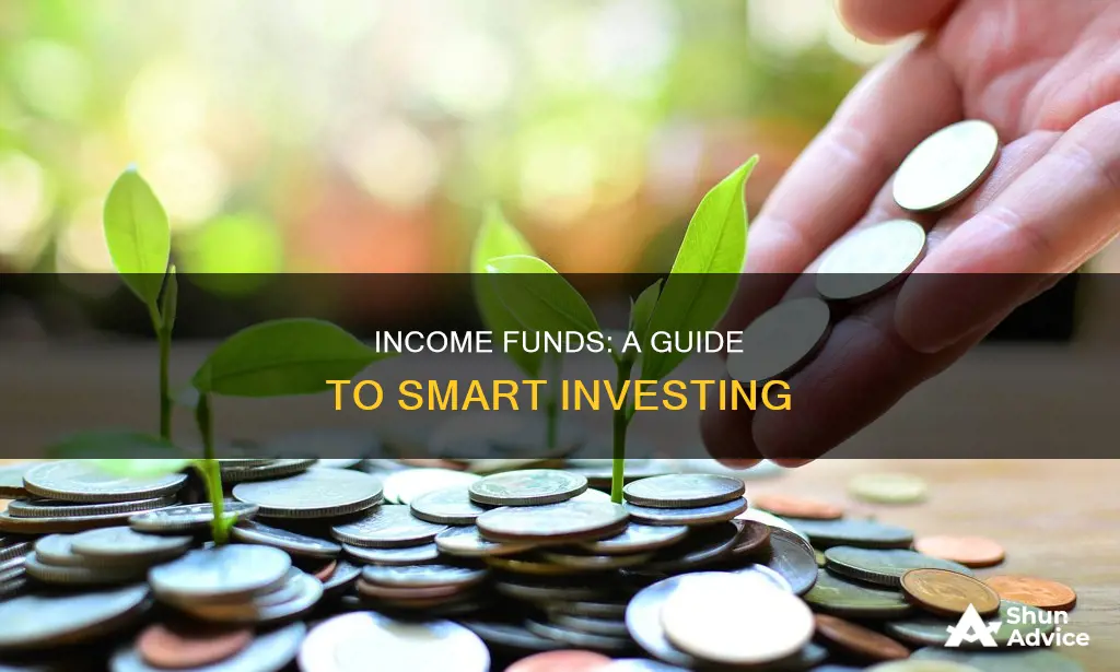 how to invest in income funds