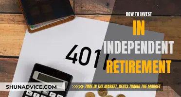 Planning for Independence: Navigating the Path to a Self-Made Retirement