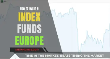 A Beginner's Guide to Index Funds Investing in Europe