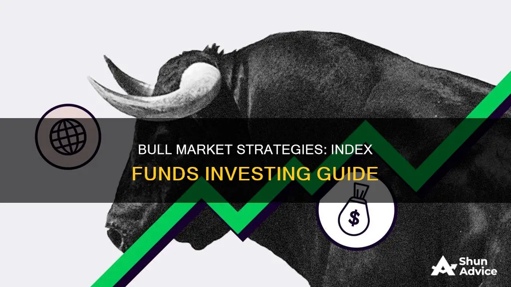 how to invest in index funds in a bull market