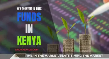 A Guide to Index Funds Investing in Kenya