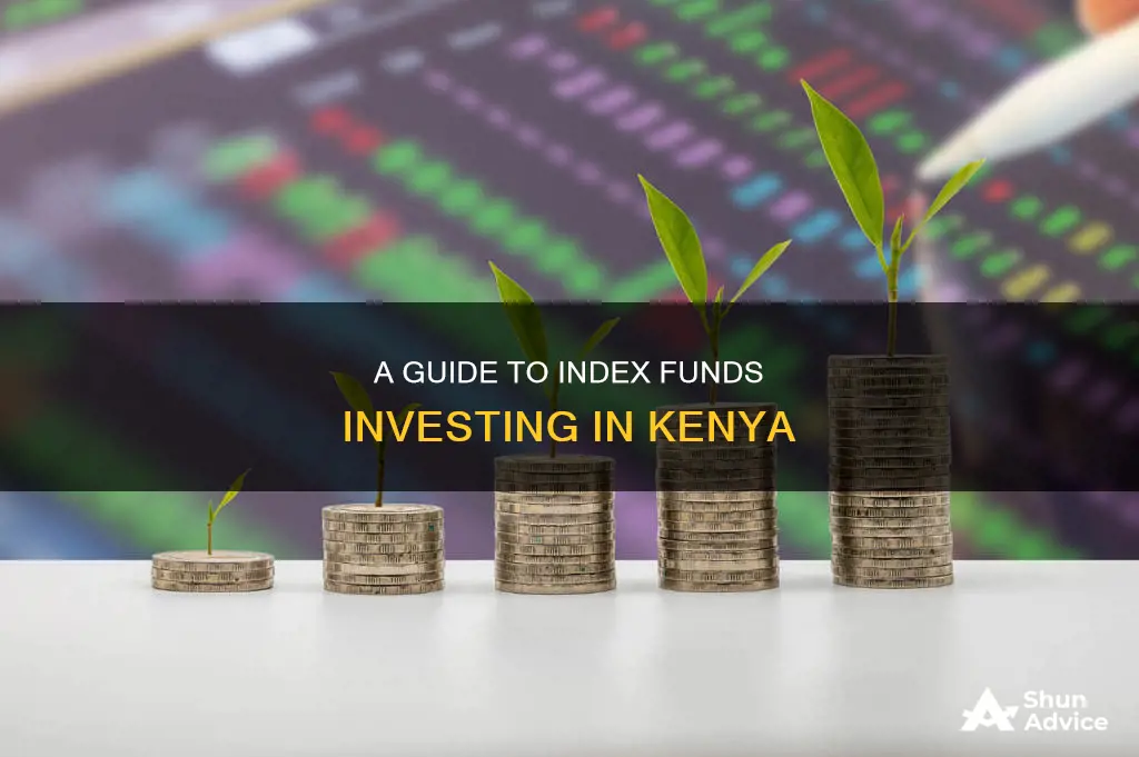 how to invest in index funds in kenya