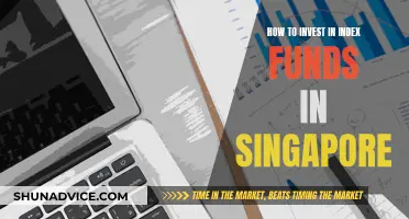 A Beginner's Guide to Index Funds in Singapore