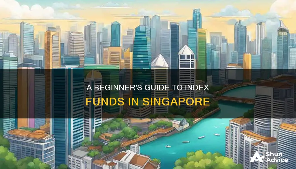 how to invest in index funds in singapore