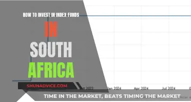 A Beginner's Guide to Index Funds in South Africa