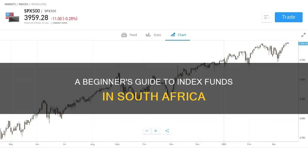 how to invest in index funds in south africa