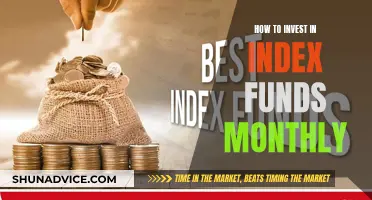 A Monthly Guide to Index Fund Investing