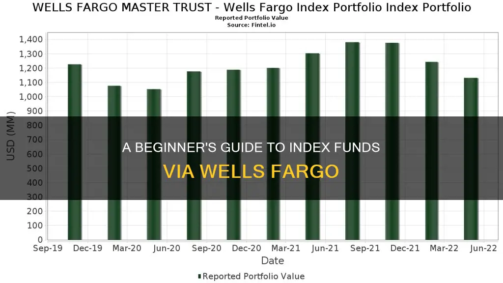 how to invest in index funds through wells fargo