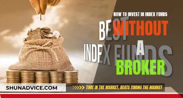 Index Funds: Direct Investing Without a Broker