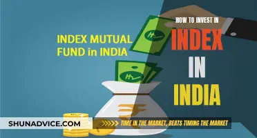 A Smart Guide to Index Investing in India