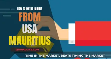 Invest in India: A Guide for US and Mauritian Investors