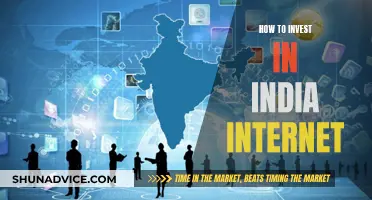 India's Internet: A Guide to Investing in its Potential