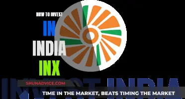 A Beginner's Guide to Investing in India INX