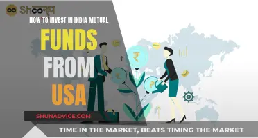 Mutual Funds: Investing in India from the USA