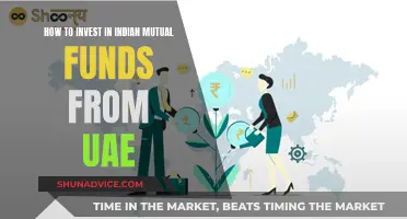 A Guide to Investing in Indian Mutual Funds from UAE