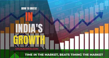 India's Growth: Where to Invest and Why