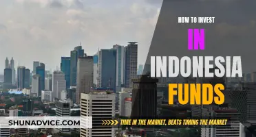 Invest in Indonesia: A Guide to Country-Specific Funds