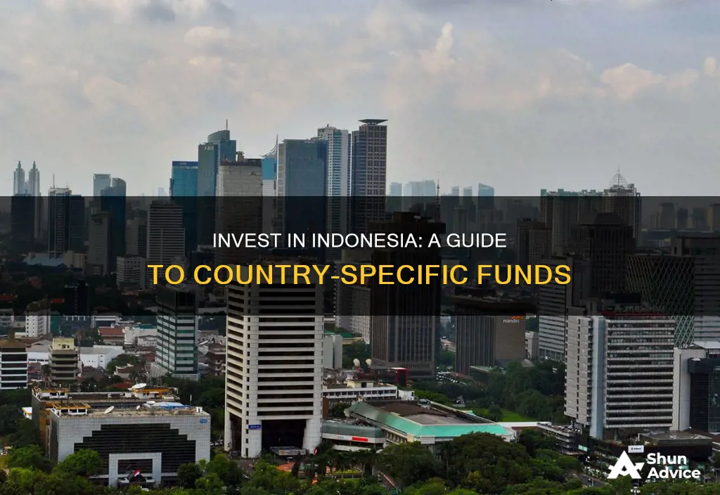 how to invest in indonesia funds