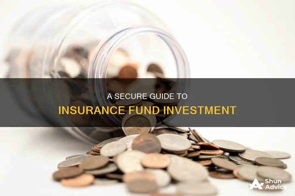 how to invest in insurance funds