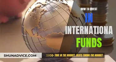 International Fund Investment: Strategies for Global Portfolio Success